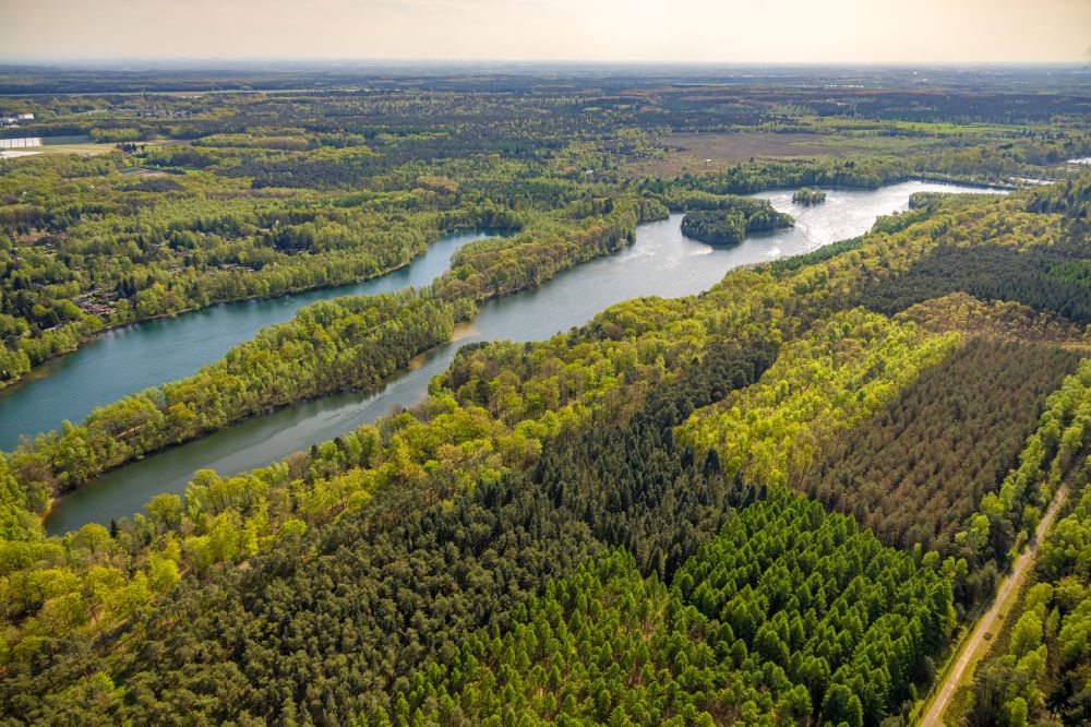 Brüggen from the bird's eye view: Forest areas on the shore of the lake Diergartscher See in the nature reserve NSG Elmpter Schwalmbruch on the road L373 in Brueggen in the federal state of North Rhine-Westphalia, Germany