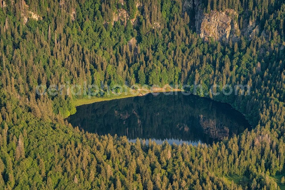 Aerial image Hinterzarten - Forests on the shores of Lake Feldsee on Feldberg in Hinterzarten in the state Baden-Wurttemberg, Germany