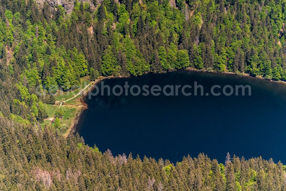 Aerial image Feldberg (Schwarzwald) - Forests on the shores of Lake Feldsee in Feldberg (Schwarzwald) in the state Baden-Wurttemberg, Germany