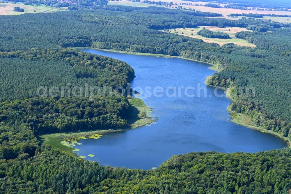 Kagar from the bird's eye view: Forests on the shores of Lake Grosser Paetschsee in Kagar in the state Brandenburg, Germany