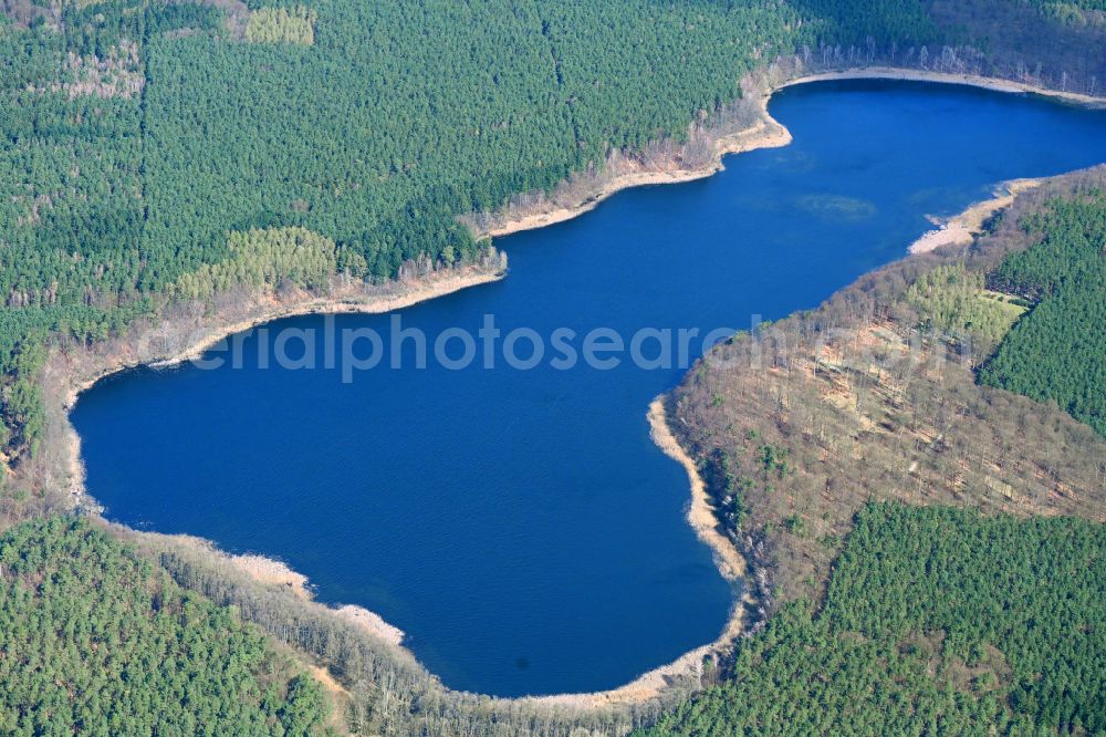 Aerial photograph Kagar - Forests on the shores of Lake Grosser Paetschsee in Kagar in the state Brandenburg, Germany