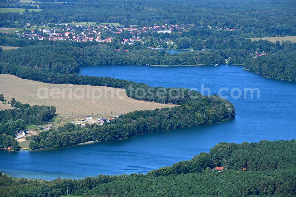 Aerial photograph Flecken Zechlin - Forests on the shores of Lake Grosser Zechliner See in Flecken Zechlin in the state Brandenburg, Germany