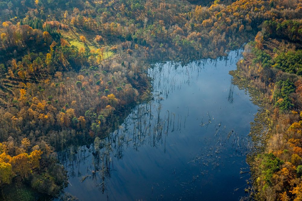 Bottrop from the bird's eye view: forests on the shores of Lake Heidesee in Bottrop at Ruhrgebiet in the state North Rhine-Westphalia, Germany