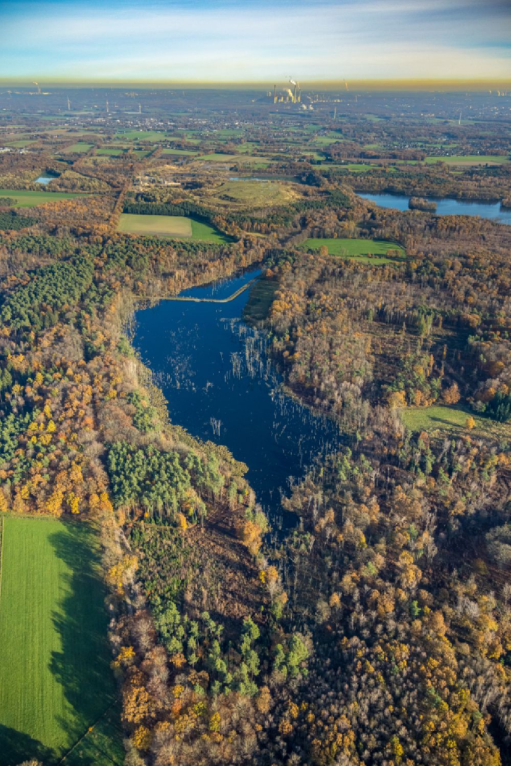 Aerial image Bottrop - forests on the shores of Lake Heidesee in Bottrop at Ruhrgebiet in the state North Rhine-Westphalia, Germany