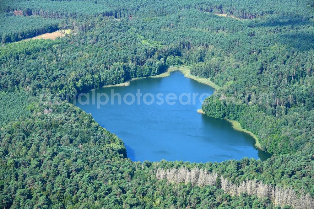 Häsen from above - Forests on the shores of Lake Kleiner Lankesee in Haesen in the state Brandenburg, Germany
