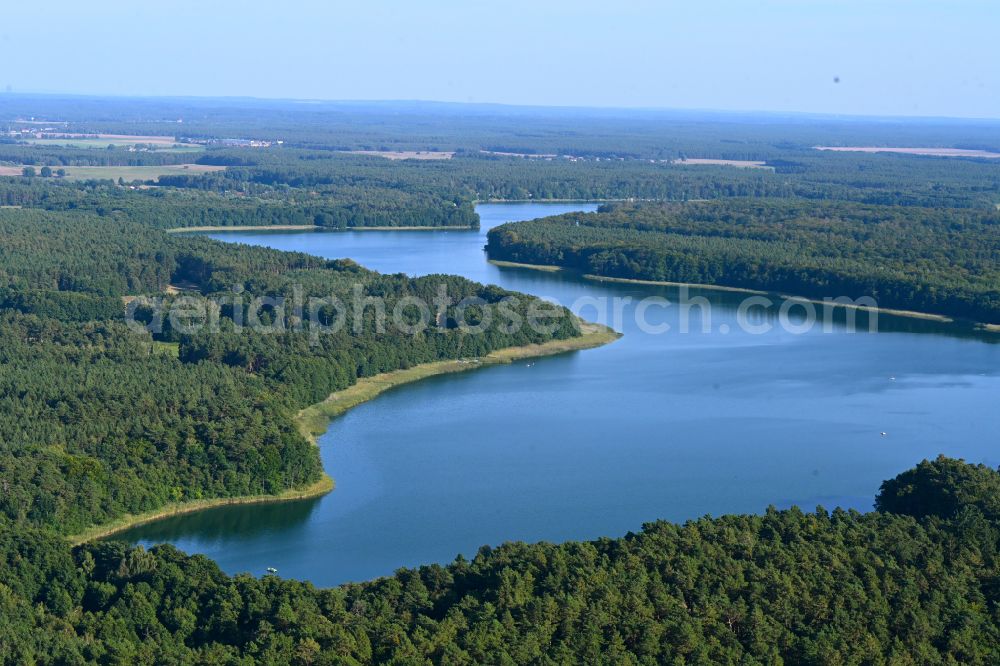 Aerial photograph Templin - Forests on the shores of Lake Luebbesee on street Morgenland in Templin in the state Brandenburg, Germany