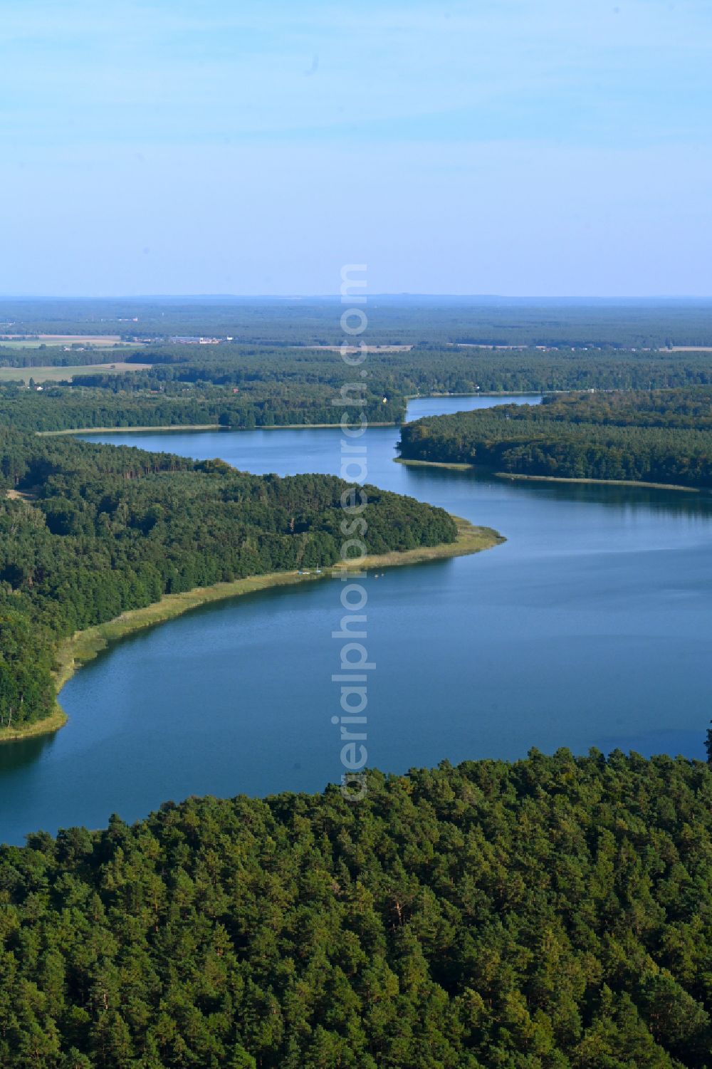 Templin from the bird's eye view: Forests on the shores of Lake Luebbesee on street Morgenland in Templin in the state Brandenburg, Germany