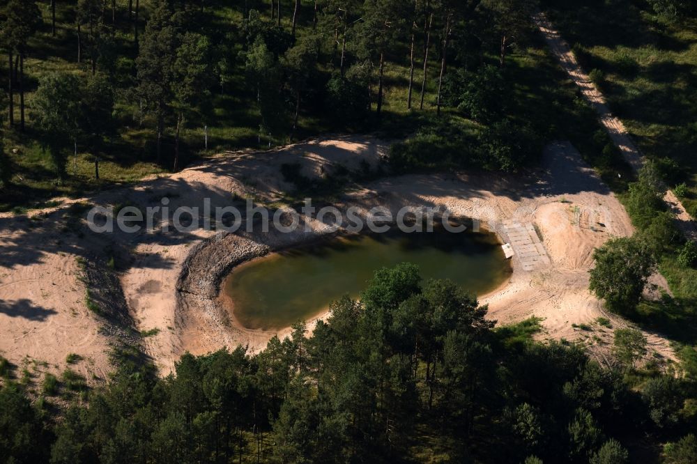 Aerial photograph Lübtheen - Forests on the shores of Lake in Luebtheen in the state Mecklenburg - Western Pomerania
