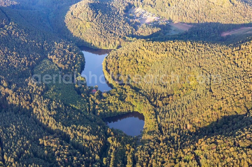 Aerial image Erlenbach bei Dahn - Forests on the shores of Lake Seehofer-Weiher in Erlenbach bei Dahn in the state Rhineland-Palatinate, Germany