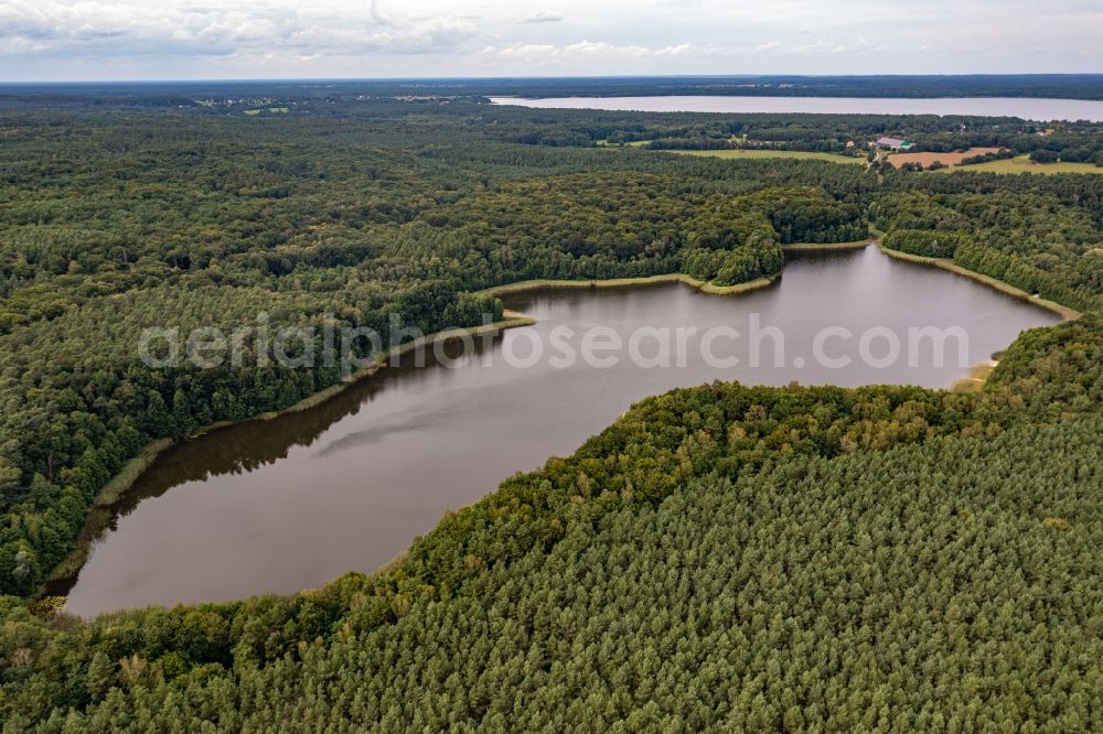 Aerial image Althüttendorf - Forests on the shores of Lake Tiefer Bugsinsee in Althuettendorf in the state Brandenburg, Germany