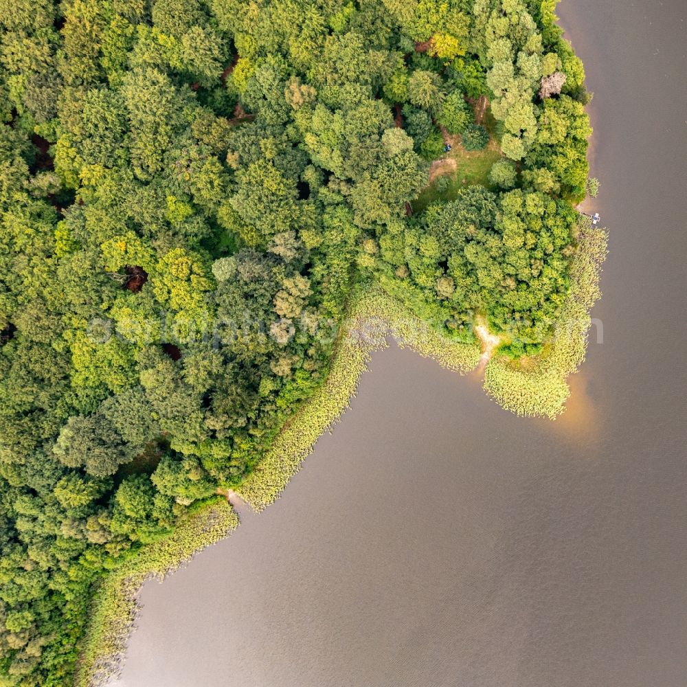 Althüttendorf from the bird's eye view: Forests on the shores of Lake Tiefer Bugsinsee in Althuettendorf in the state Brandenburg, Germany