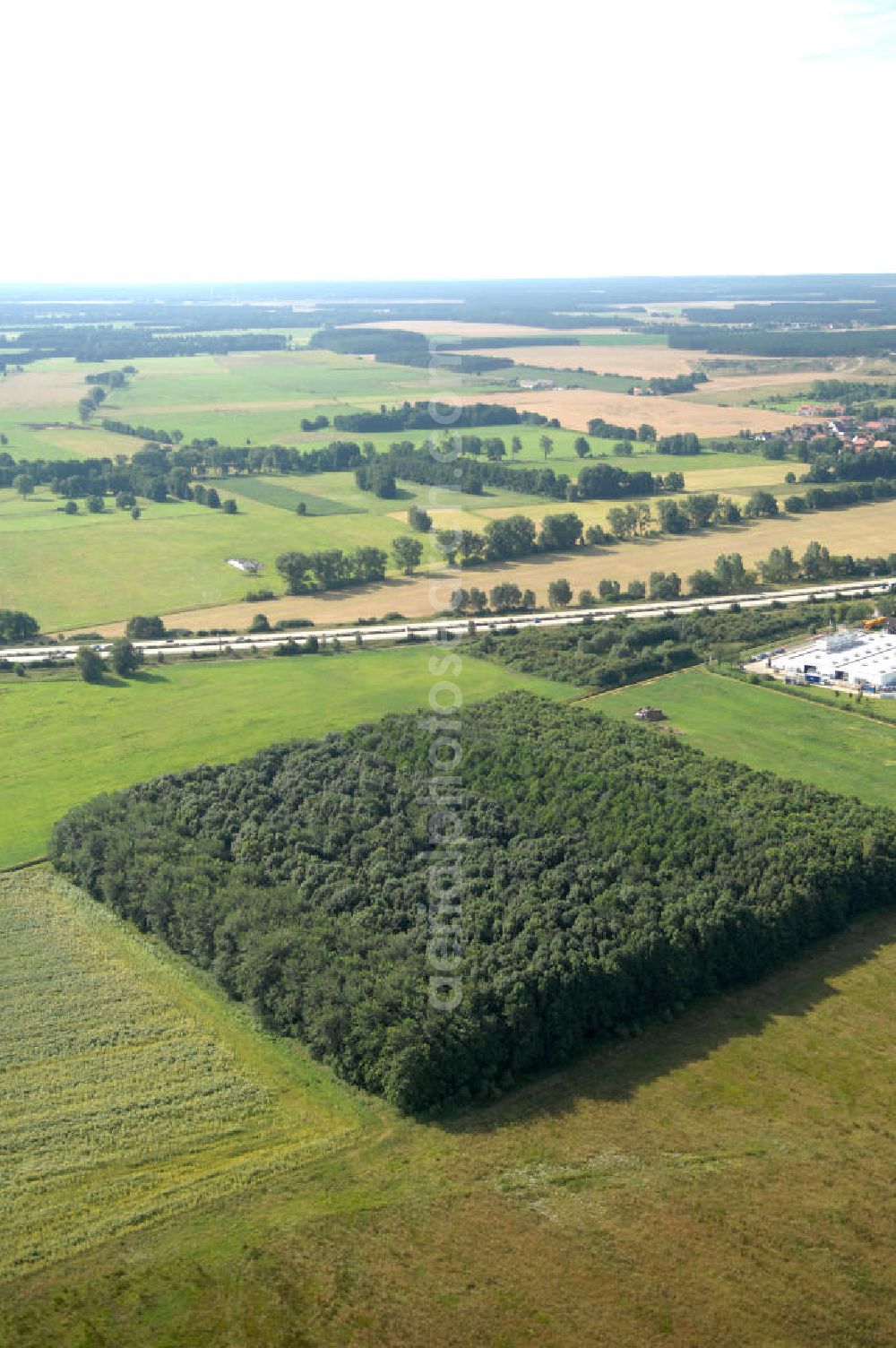Linthe from above - Blick auf ein quadratisch angeordnetes Mischwaldareal / Wald / Waldinsel / Waldfläche an der A9 in der Nähe des Gewerbegebiets Linthe in Brandenburg. Die Anordnung der Bäume sieht aus wie ein Quadrat.