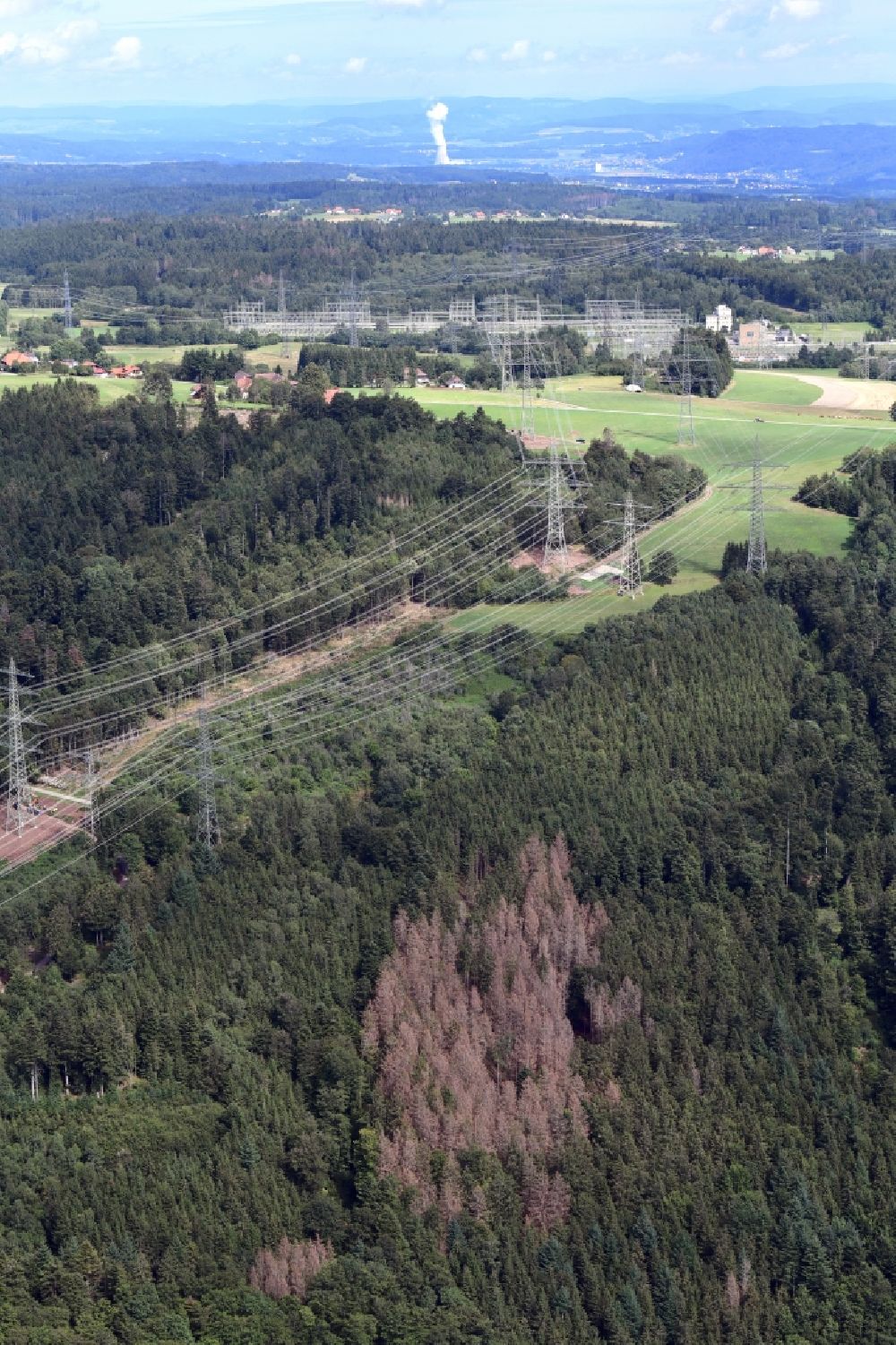Aerial photograph Rickenbach - Damage by bark beetle and dryness in a wooded area with spruce trees in Bergalingen, Rickenbach in the state Baden-Wuerttemberg, Germany