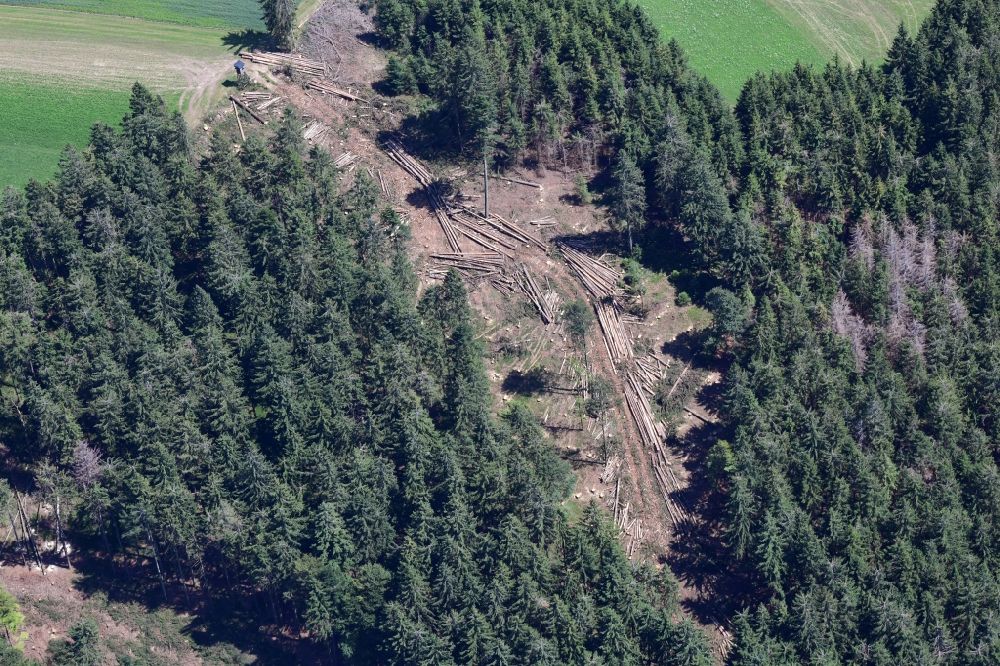 Aerial photograph Herrischried - Forest aisle made by harvester in a spruce fir forest, damaged by bark beetles in the Black Forest in Herrischried in the state Baden-Wurttemberg, Germany