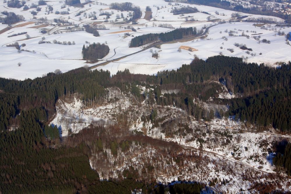Hasel from above - In this forest area near Hasel in the state of Baden-Wuerttemberg in the Black Forest in the winter millions of Bramblings have set up their roost