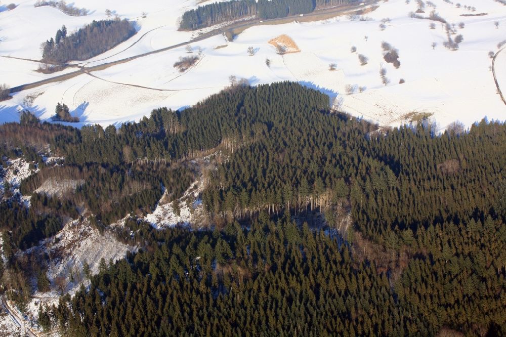 Hasel from the bird's eye view: In this forest area near Hasel in the state of Baden-Wuerttemberg in the Black Forest in the winter millions of Bramblings have set up their roost