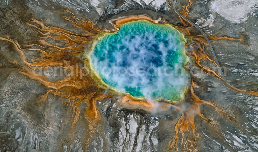 Aerial photograph Yellowstone National Park - Colorful shimmering water source of the magma reservoir from the crater of Grand Prismatic Spring in the nature reserve and UNESCO World Heritage Site in Yellow Stone National Park in Wyoming, USA. In the blue center of the steaming spring, the water is 80 degrees Celsius hot. Mats of cyanobacteria cover the cooler edge of the pool and the floor in the outflow channels, coloring it green, yellow, orange-red and brown. The microorganisms need the heat to live