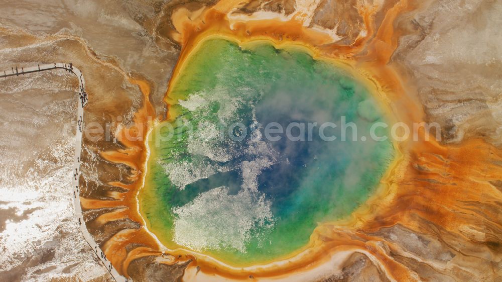 Aerial image Yellowstone National Park - Colorful shimmering water source of the magma reservoir from the crater of Grand Prismatic Spring in the nature reserve and UNESCO World Heritage Site in Yellow Stone National Park in Wyoming, USA. In the blue center of the steaming spring, the water is 80 degrees Celsius hot. Mats of cyanobacteria cover the cooler edge of the pool and the floor in the outflow channels, coloring it green, yellow, orange-red and brown. The microorganisms need the heat to live