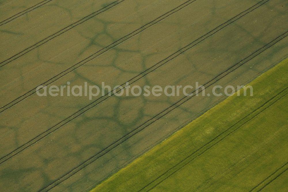 Karsdorf from above - Vegetation structures on agricultural fields characterized by subterranean waterways in Karsdorf in the state Saxony-Anhalt, Germany