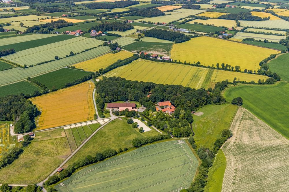 Nottuln from above - Building and castle park systems of water castle with homestead and horse breeding of Gestuet Haus-Giesking in the district Hangenau in Nottuln in the state North Rhine-Westphalia, Germany