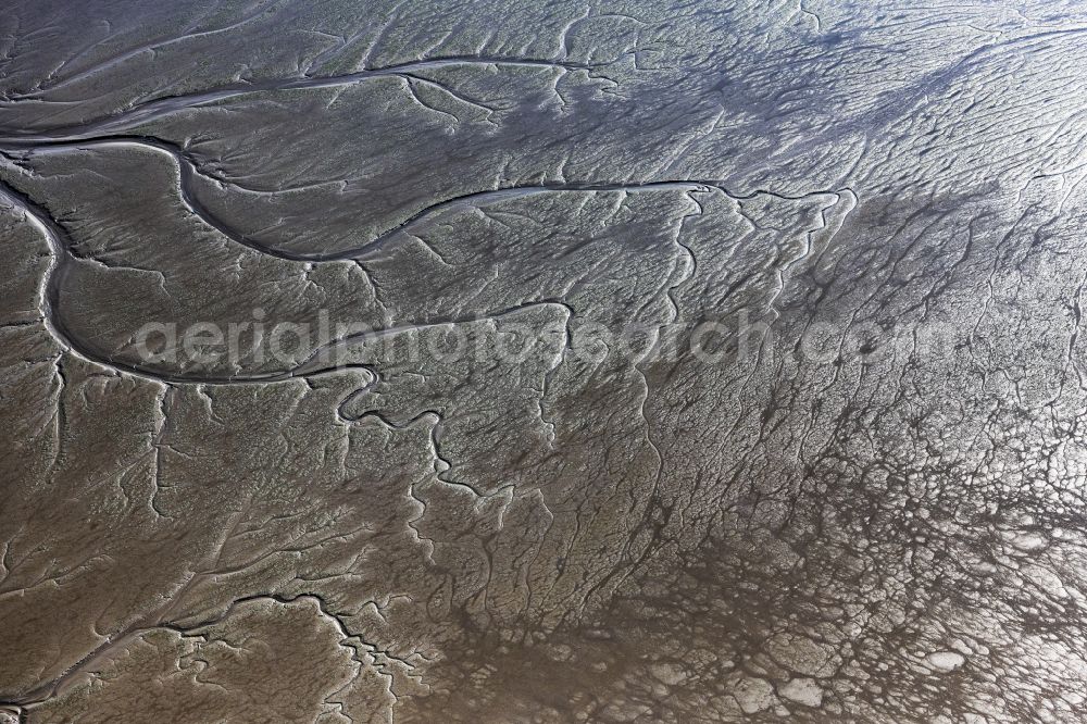 Aerial image Jork - Riparian areas with mudflats along the course of the river of the River Elbe in Jork Old Land in the state Lower Saxony, Germany