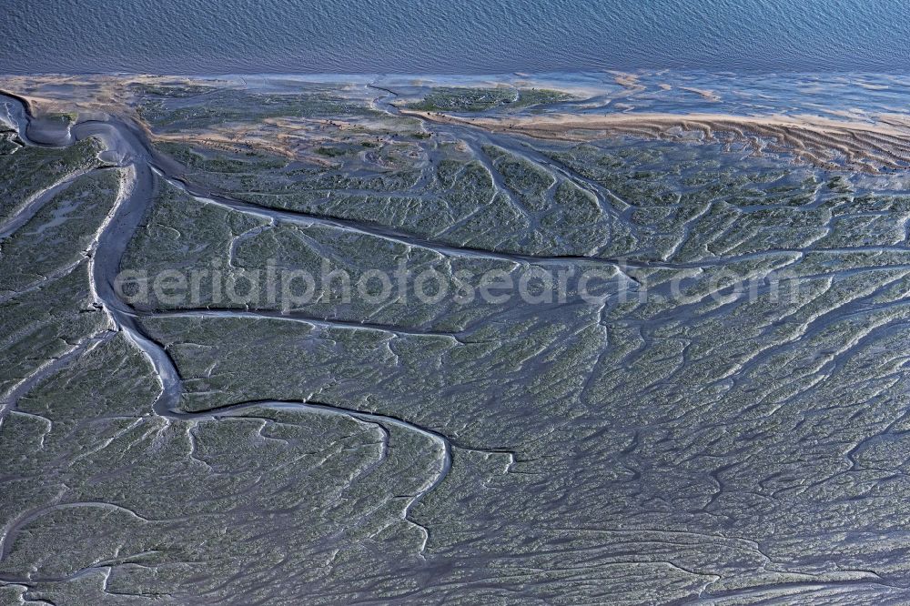 Aerial photograph Jork - Riparian areas with mudflats along the course of the river of the River Elbe in Jork Old Land in the state Lower Saxony, Germany