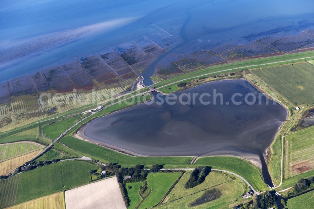 Aerial photograph Tetenbüll - Formation of tidal creeks on the bank areas with mud flats along the river on street L32 in Tetenbuell in the state Schleswig-Holstein, Germany