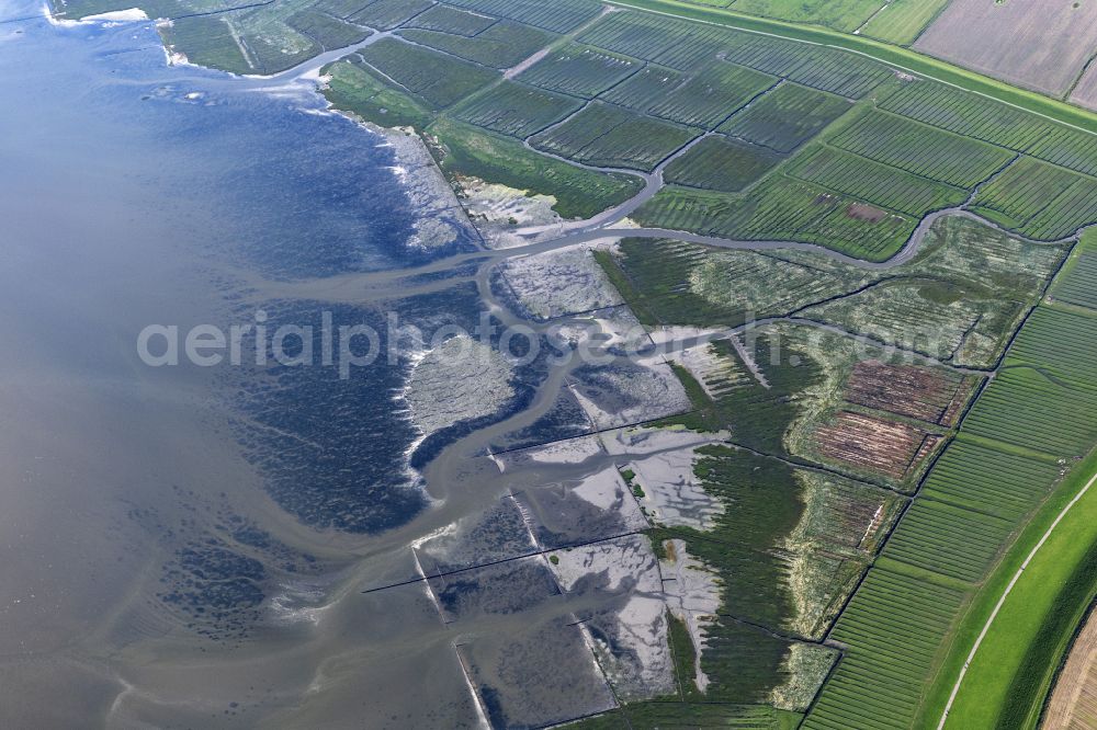 Tating from the bird's eye view: Wadden Sea of North Sea Coast near Tating in the state Schleswig-Holstein