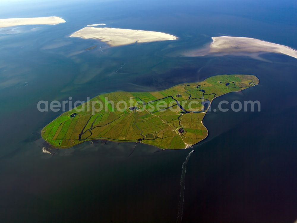 Aerial image Hooge - Wadden Sea of North Sea Coast in Hooge in the state Schleswig-Holstein, Germany