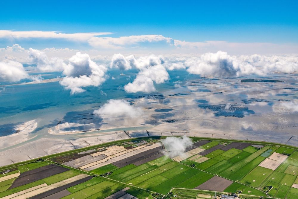 Aerial image Pellworm - Wadden Sea of North Sea Coast in Pellworm North Frisia in the state Schleswig-Holstein, Germany