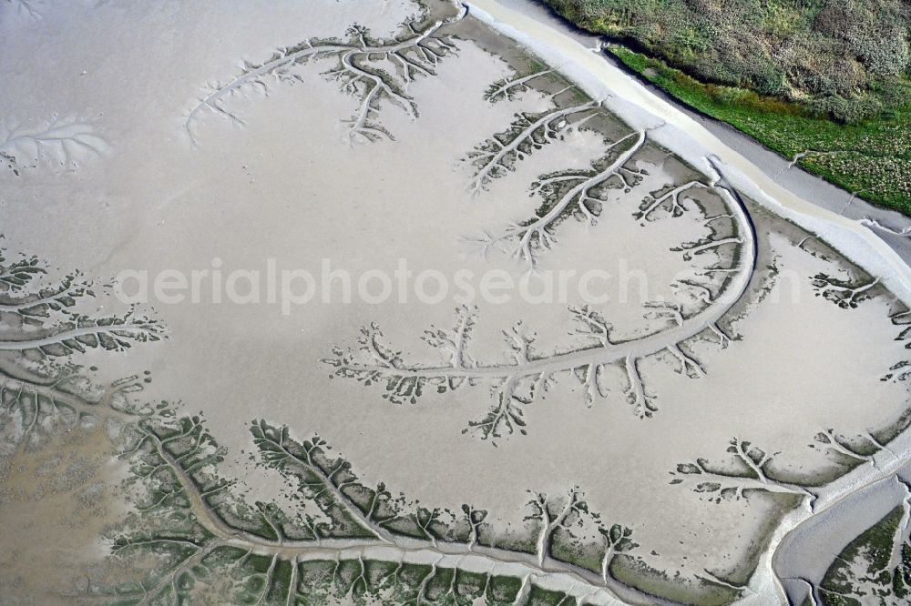Balje from the bird's eye view: Wadden Sea of North Sea Coast with with creek - education in Balje in the state Lower Saxony, Germany