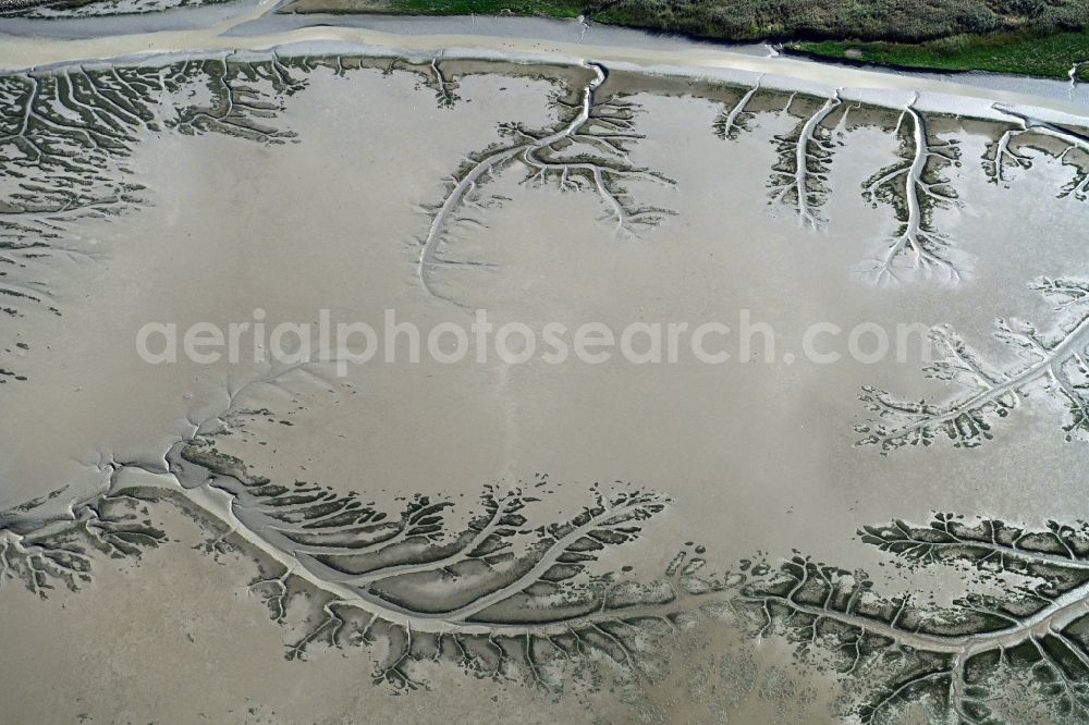 Aerial image Balje - Wadden Sea of North Sea Coast with with creek - education in Balje in the state Lower Saxony, Germany
