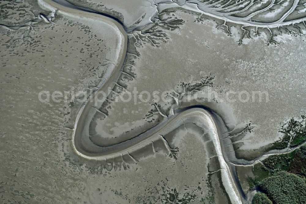Aerial photograph Balje - Wadden Sea of North Sea Coast with with creek - education in Balje in the state Lower Saxony, Germany