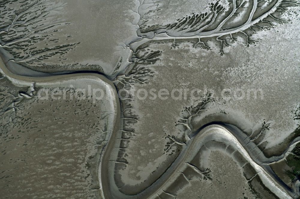 Balje from above - Wadden Sea of North Sea Coast with with creek - education in Balje in the state Lower Saxony, Germany