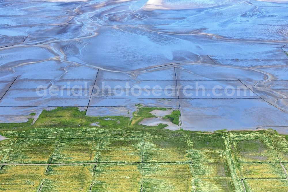 Aerial photograph Westerhever - Wadden Sea of North Sea Coast in Westerhever in the state Schleswig-Holstein, Germany