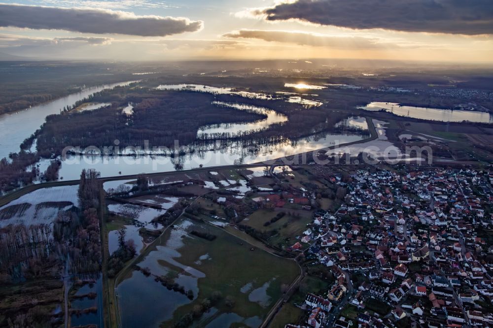 Maximiliansau from the bird's eye view: Goldgrund nature reserve flooded due to flooding in the old rhine loop of Hagenbach in Maximiliansau in the state Rhineland-Palatinate, Germany