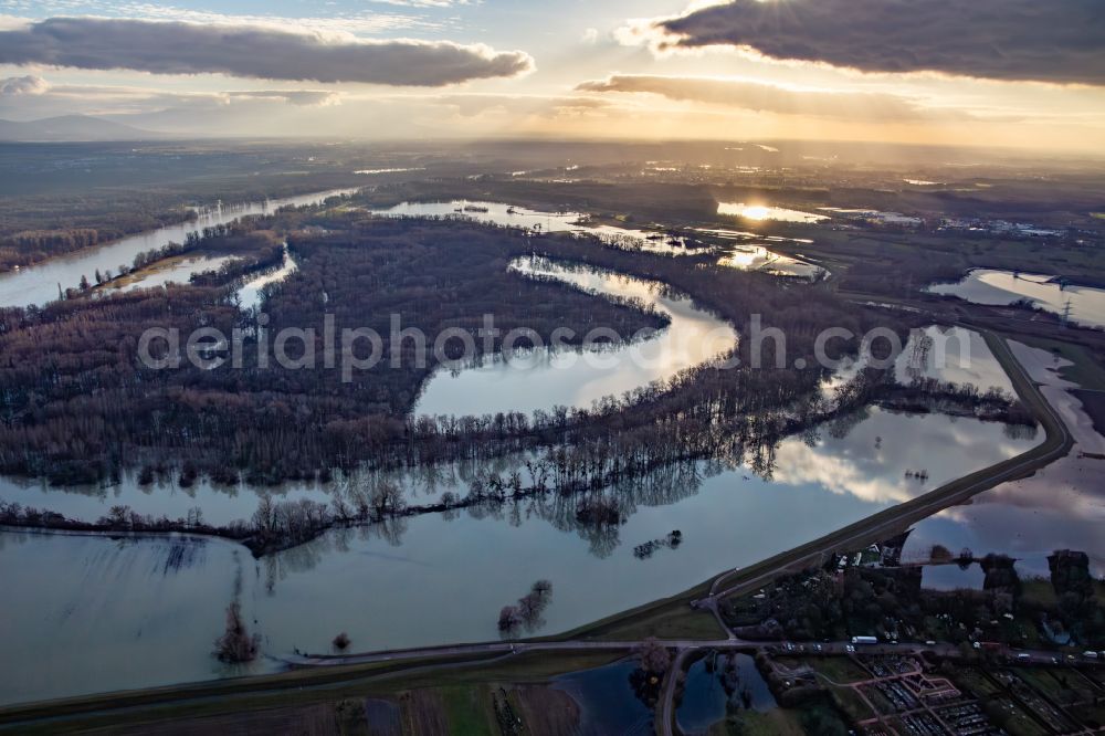 Aerial image Maximiliansau - Goldgrund nature reserve flooded due to flooding in the old rhine loop of Hagenbach in Maximiliansau in the state Rhineland-Palatinate, Germany
