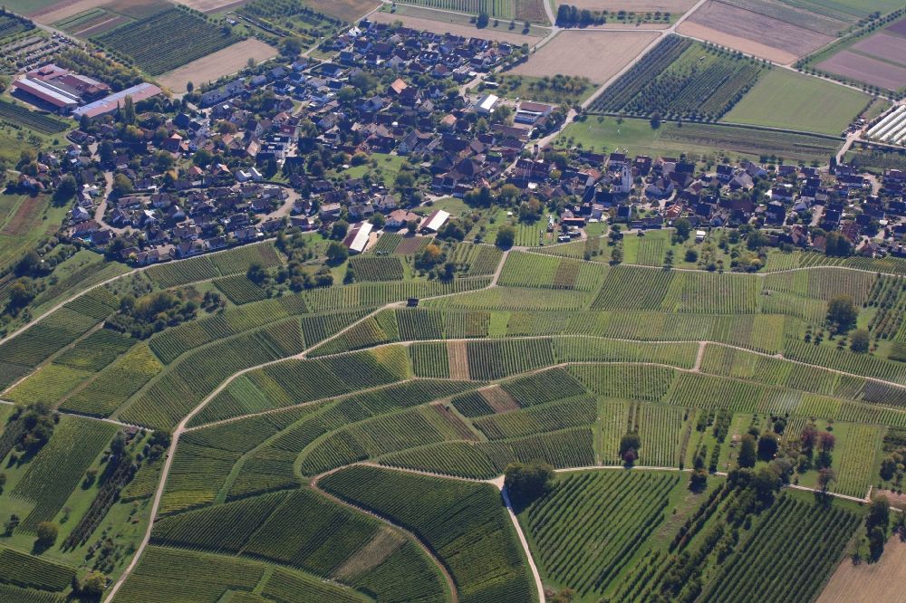 Aerial photograph Efringen-Kirchen - Vineyard and fields of wine cultivation landscape in the district Fischingen in Efringen-Kirchen in the state Baden-Wurttemberg, Germany