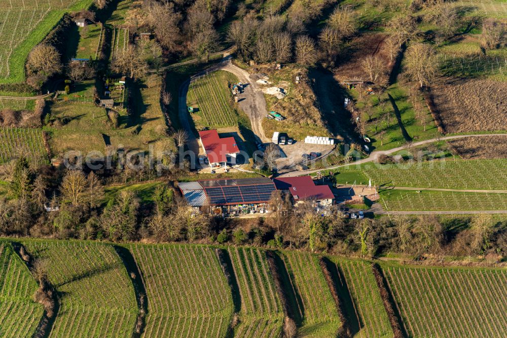 Aerial photograph Ettenheim - Fields of wine cultivation landscape in Ettenheim in the state Baden-Wurttemberg, Germany
