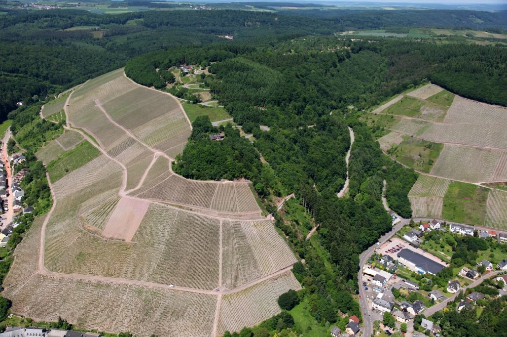 Aerial image Saarburg - Vineyards with woodland and chairlift in Saar castle in Rhineland-Palatinate