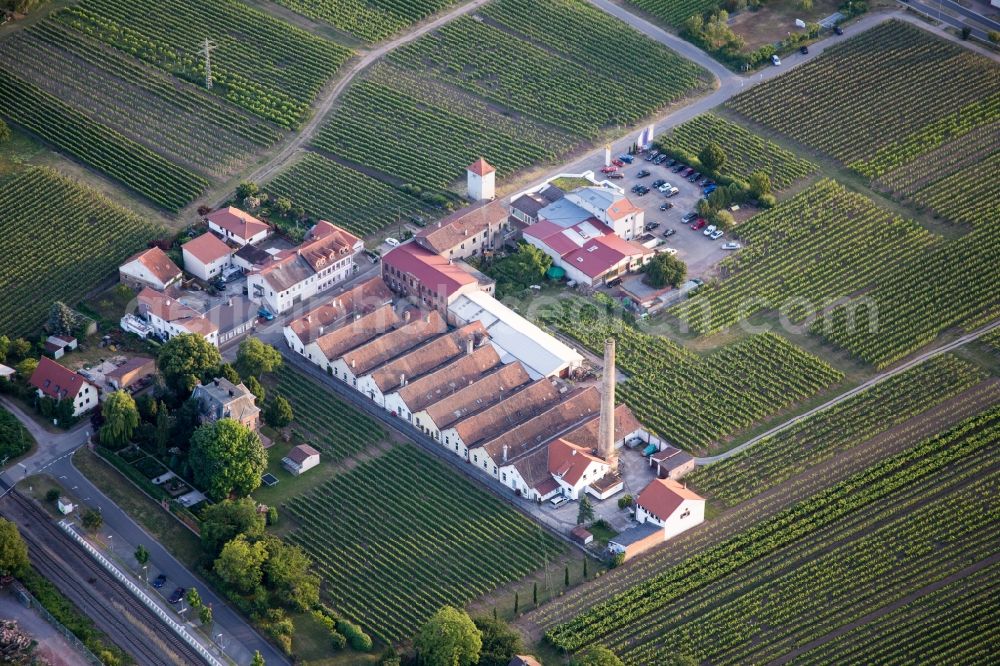Aerial photograph Kirrweiler (Pfalz) - Fields of wine cultivation landscape in the district Bordmuehle in Kirrweiler (Pfalz) in the state Rhineland-Palatinate, Germany