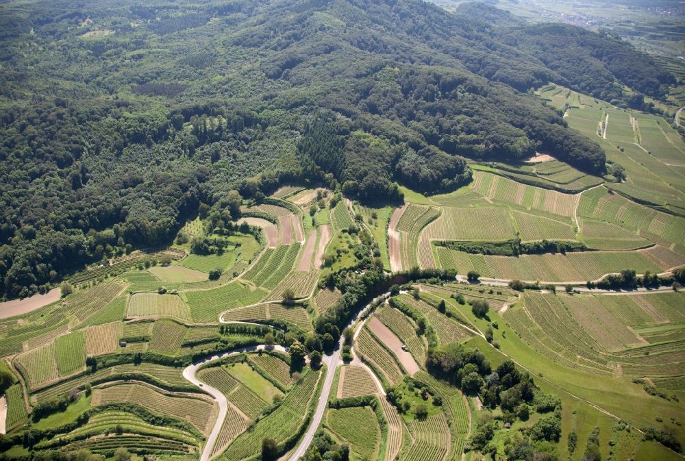 Aerial photograph Bötzingen - Landscape of vineyards in Boetzingen in Baden-Wuerttemberg with terraced vineyards