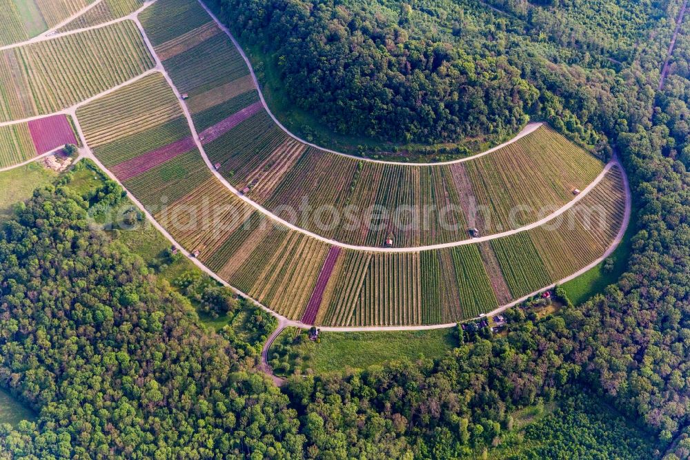 Aerial image Sternenfels - Fields of wine cultivation landscape in Sternenfels in the state Baden-Wurttemberg, Germany