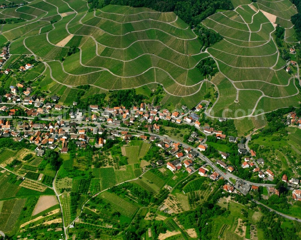 Aerial image Altschweier - Fields of wine cultivation landscape in Altschweier in the state Baden-Wuerttemberg, Germany