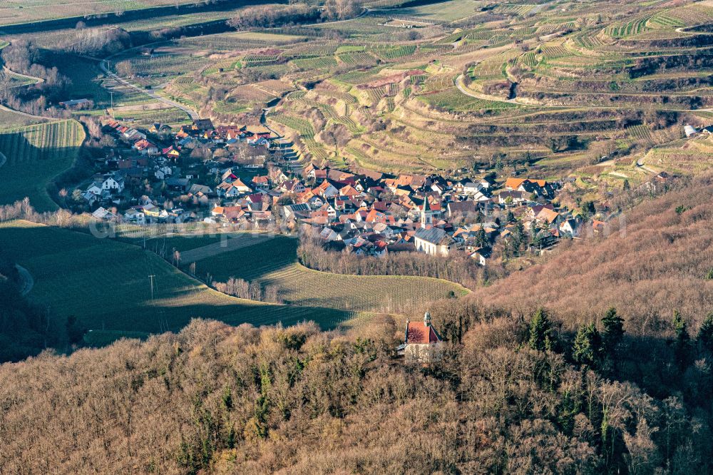 Amoltern from the bird's eye view: fields of wine cultivation landscape in Amolte in the state Baden-Wuerttemberg, Germany