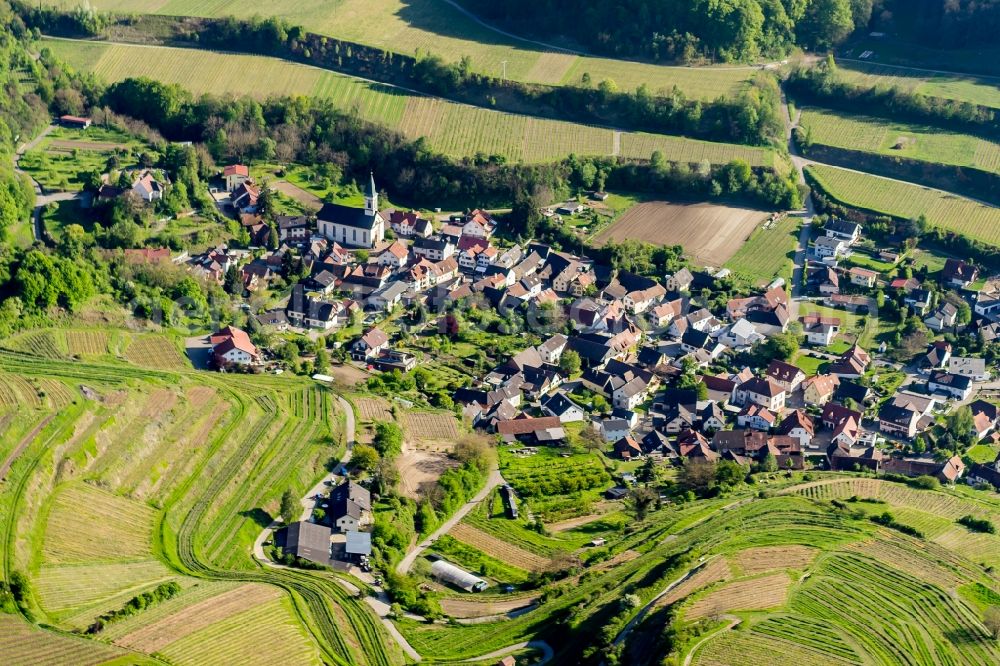 Aerial image Amoltern - Fields of wine cultivation landscape in Amoltern in the state Baden-Wuerttemberg