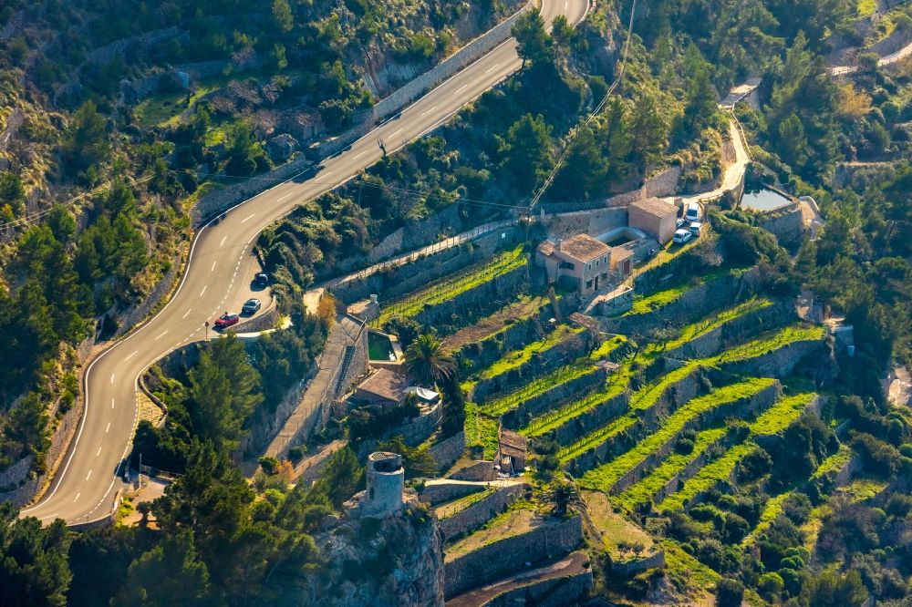 Aerial image Banyalbufar - Fields of wine cultivation landscape in Banyalbufar in Balearic island of Mallorca, Spain