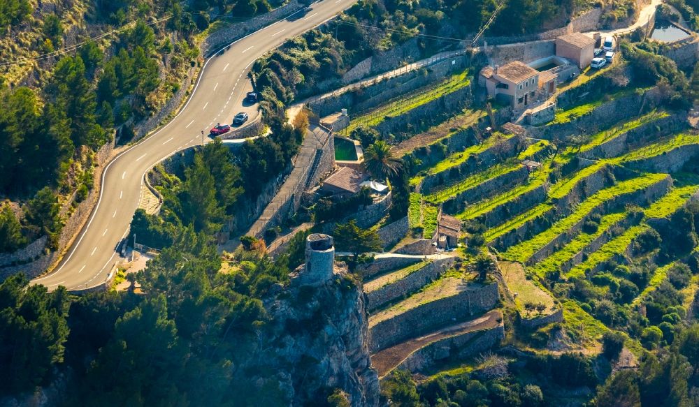 Aerial photograph Banyalbufar - Fields of wine cultivation landscape in Banyalbufar in Balearic island of Mallorca, Spain