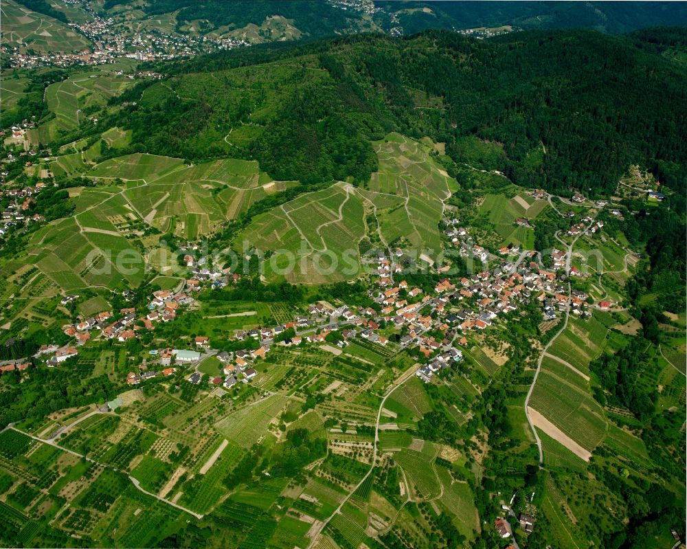 Aerial photograph Bühl - Fields of wine cultivation landscape in Bühl in the state Baden-Wuerttemberg, Germany