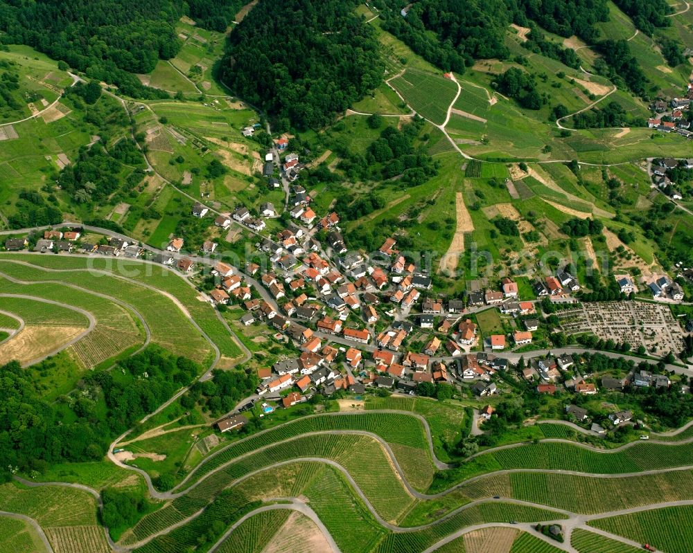 Bühlertal from the bird's eye view: Fields of wine cultivation landscape in Bühlertal in the state Baden-Wuerttemberg, Germany